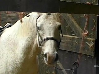 Vies wild x nominale video- in een barn voor ondeugend boerderij meisjes